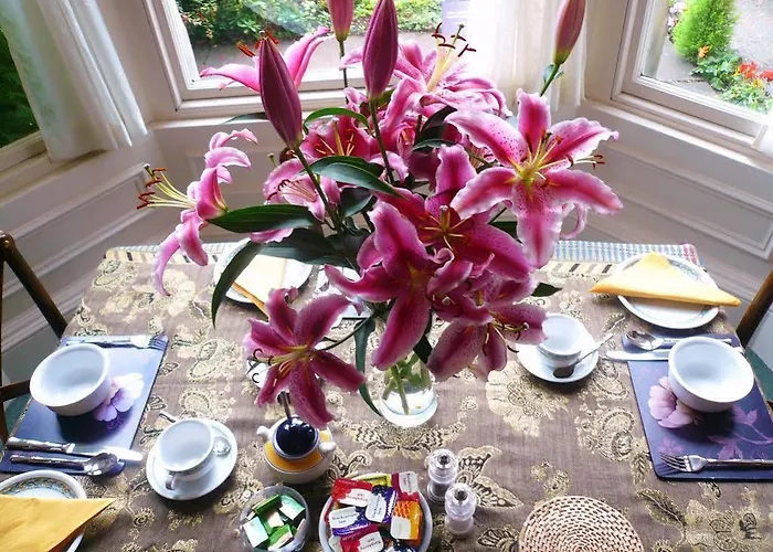 Panda Bed & Breakfast Edinburg