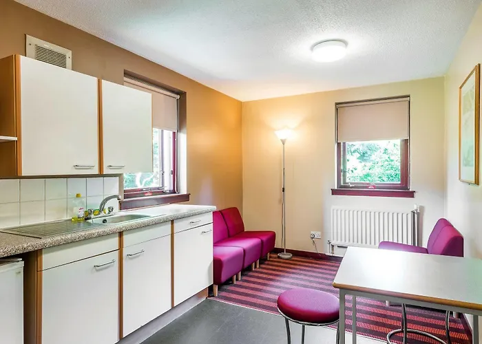 The Scholar מלון 4*