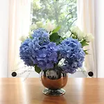 Apartmán Joivy Fantastic New Town Flat With Shared Garden Edinburgh