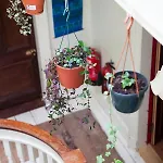 Homestay szállás Netherbrae Edinburgh