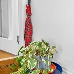 Jamson Pl - 3br Sleeps 7 Edinburgh