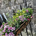 Cosy Georgian Flat Διαμέρισμα Εδιμβούργο