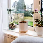 Large Bedroom, Close To Airport And Centre