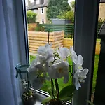 Alloggio in famiglia Large Bedroom, Close To Airport And Centre *