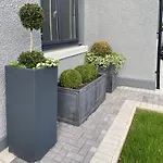 The