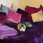 Ubytování v soukromí Relaxing, Cozy 1 Double *