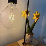 Quiet Garden View 2br Center Near Fringe Διαμέρισμα *