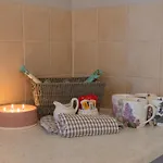 3 Bedroom Home, Peaceful Garden Tatil Evi Edinburgh