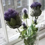 Appartement Royal Mile Budget