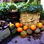 Szálloda The Witchery 5*