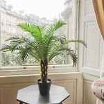 Apartman 3 Lynedoch Place *