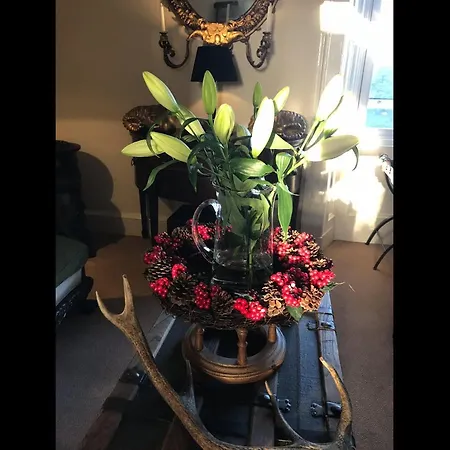 Martins Guest House Guest house 3*