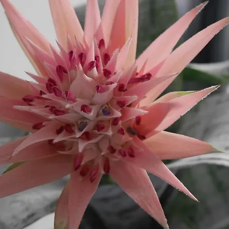 公寓 Thistle Centre