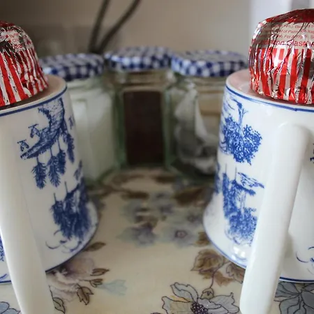 فندق مبيت وإفطار Oleanders إدنبرة