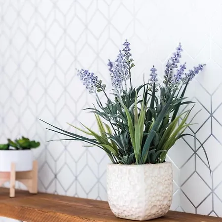 Centre Stylish With Free Parking *