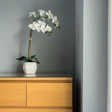 Castle Apt, Modern,