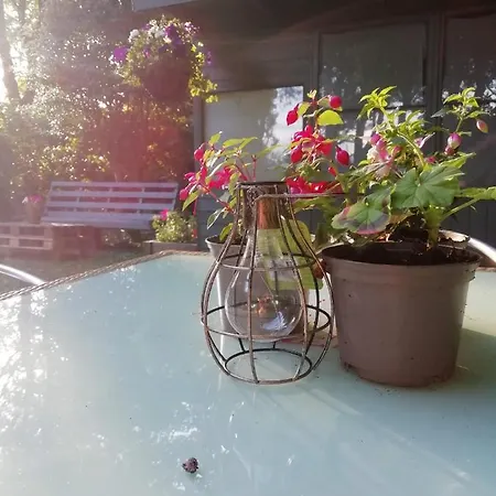 Lowood * Эдинбург