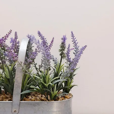 Joivy Beautiful Mews Near Princes Street Apartman Edinburgh