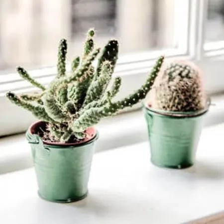 Guestready - Greyfriars Bobby View - Old Town Апартаменты *