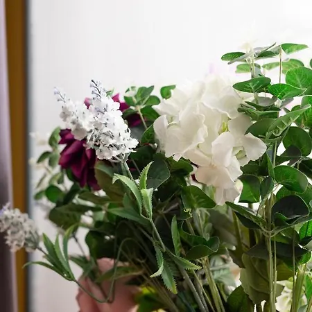 48 Gilmore Place Residences Edinburgh