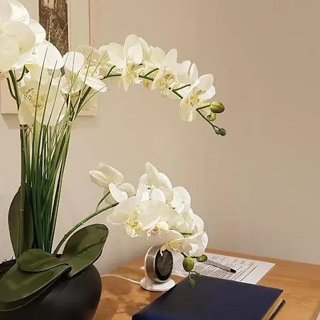 Gorgeous 3-bedroom 爱丁堡