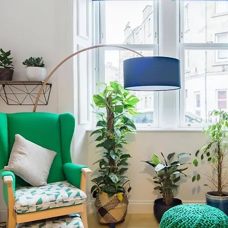 The Plywood Flat, Modern Style In A Traditional Tenement Appartement *