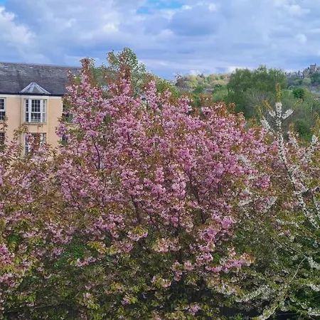 Penthouse Sleeps 11 *