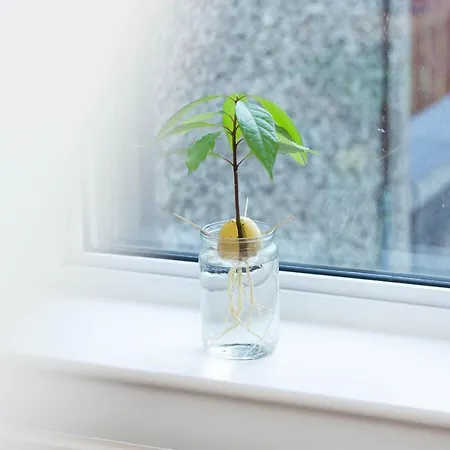 Lele's Flat - 15 Minutes To Airport & Centre Homestay szállás *