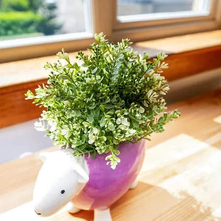 Vakantiehuis Cozy With Character Cheerful With Garden At Leith Links Park *