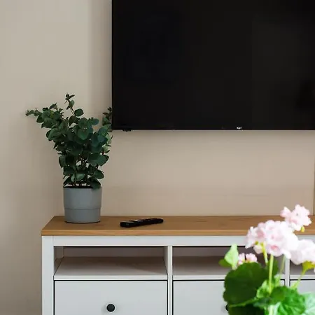 Apartamento Downtown And 1 Bed In