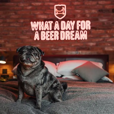 Brewdog Doghouse 4*