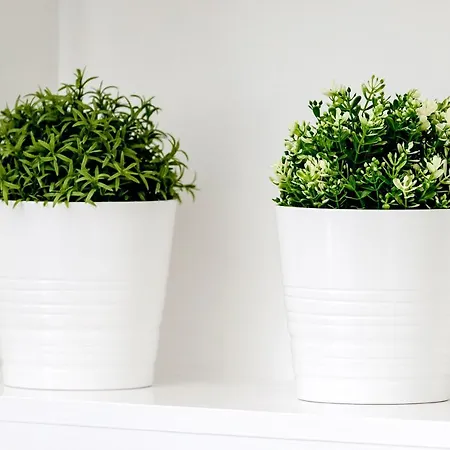 Heart Of Centre 3 Bed Georgian *