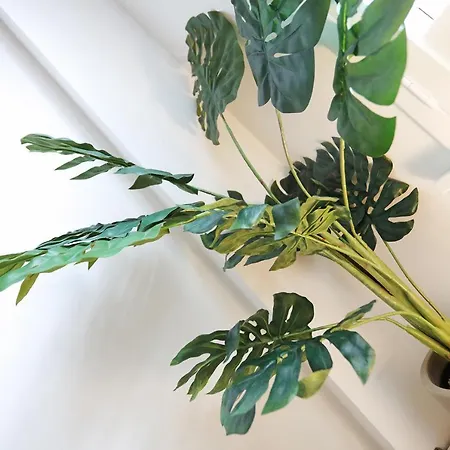 Dalmeny Street Apartamento