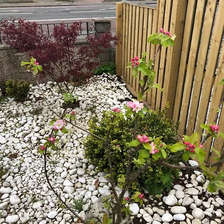 Netherby בית הארחה