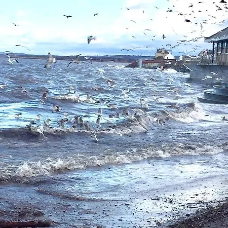 Apartman Loft In Joppa Edinburgh