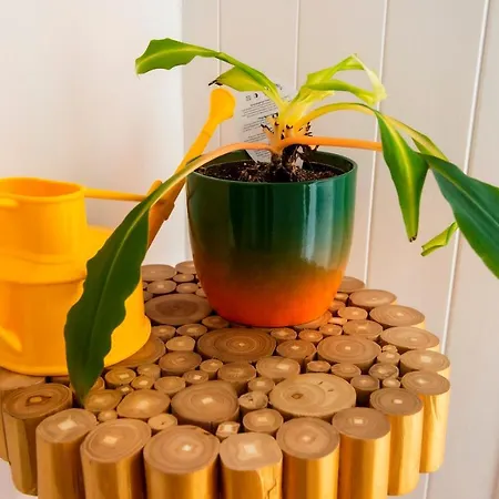 Apartament Modern Royal Mile 2 Bed Flat - Pass The Keys *