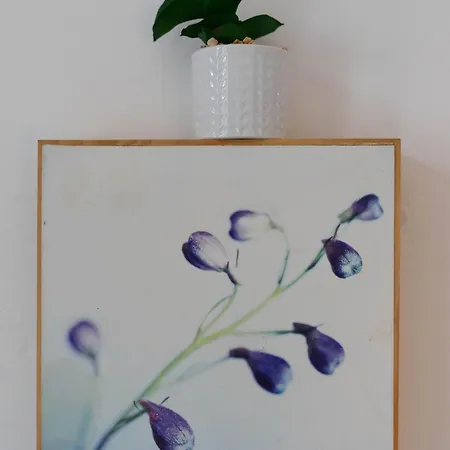 Appartamento Cosy Leith Escape - *