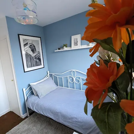 Single With Castle View *