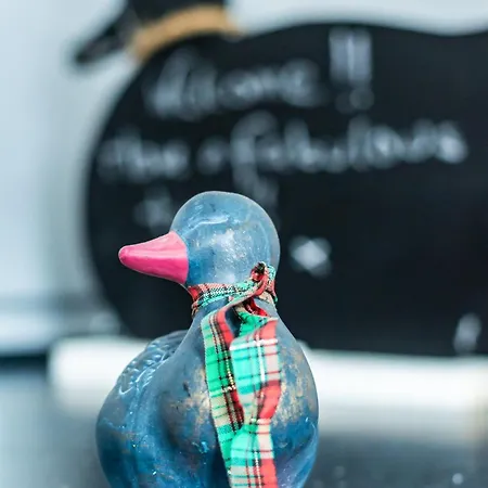 Apartment The Heart Of Newington