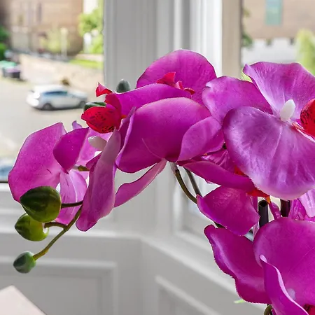 Appartement Marchmont Traditional