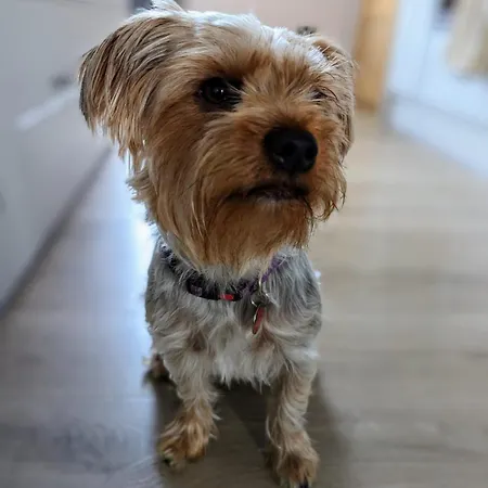 Privat bolig Cosy Guest In A Family With Private Bathroom And Free Parking *