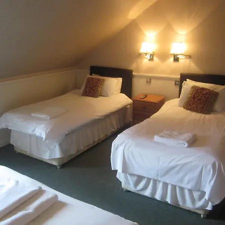 エルダー ヨーク