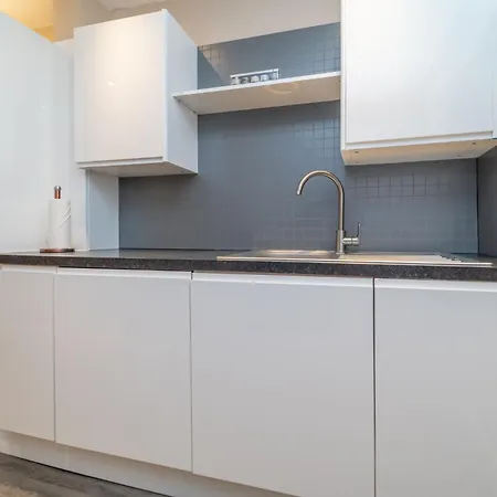 Beautiful Spacious Victorian Town House *