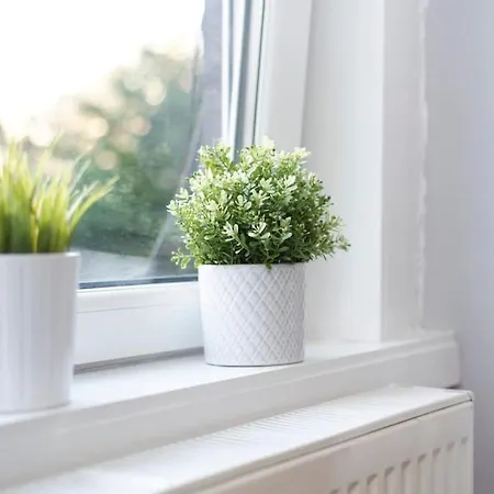 Cosy And Chic, Quiet In Leith *