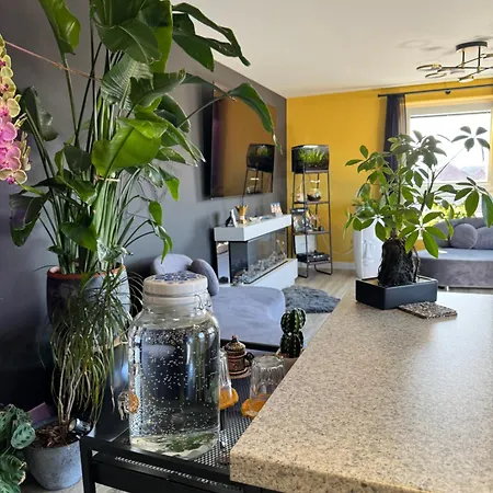 Alloggio in famiglia Private Cozy & Stylish In A Shared Flat In *