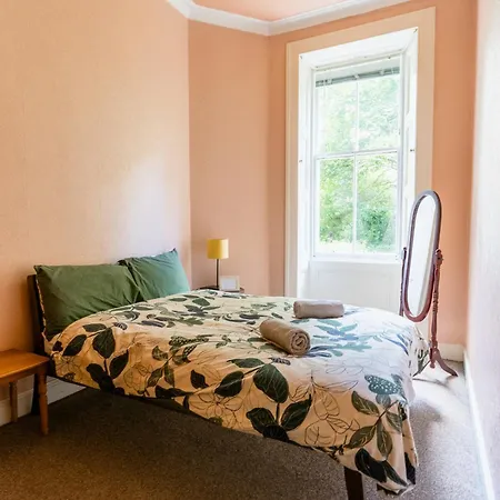 Palm Tree Apartment- Period With Cat