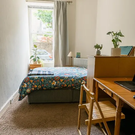 아파트 Palm Tree Apartment- Period With Cat