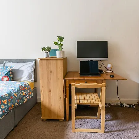 Palm Tree Apartment- Period With Cat 아파트