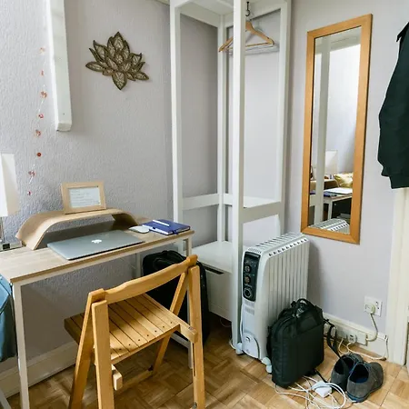 아파트 Palm Tree Apartment- Period With Cat