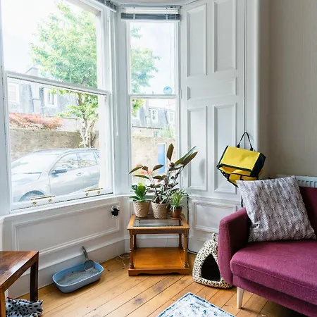 아파트 Palm Tree Apartment- Period With Cat